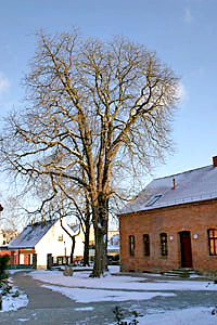 mh_kirche_aussen_10.jpg